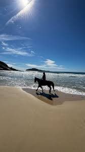 Horseback ride on the beach at dusk | where ranch life meets shoreline