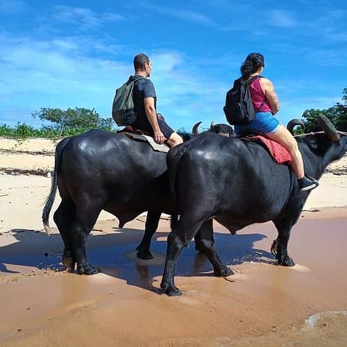 Expedition d'observation des oiseaux | lecture d'habitat