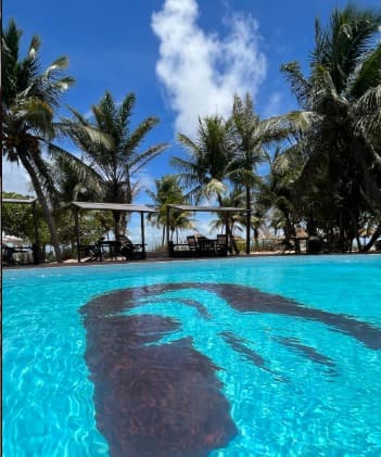 Pousada dos Guarás 3