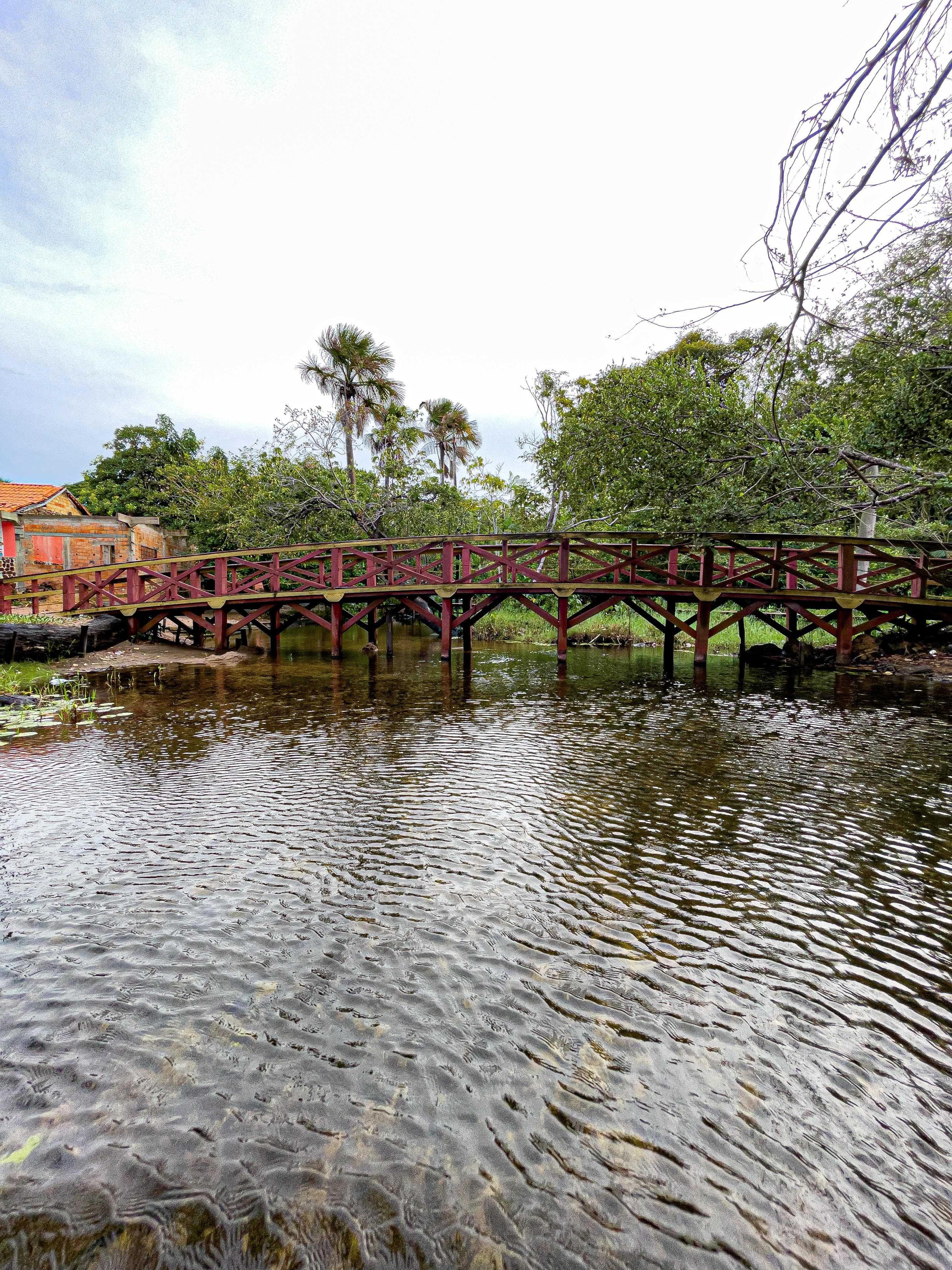 Boat tour through waterways | the island's water rhythm